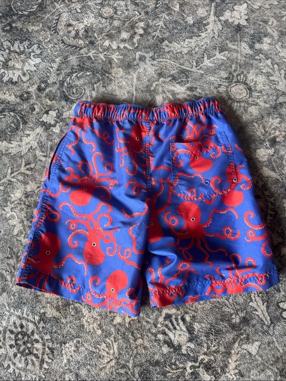 Hanna Andersson Swim Shorts and Rash Guard Set